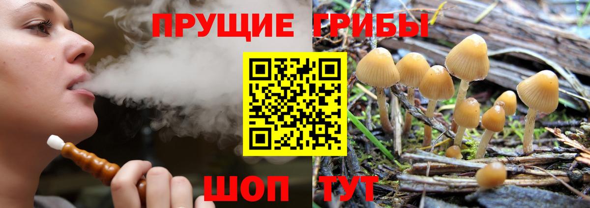 Галлюциногенные грибы мицелий  Вход с VPN  Галлюциногенные грибы Psilocybine cubensis  Кунгур 